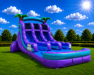 16' Purple Plunge Dual Lane center climb with Pool