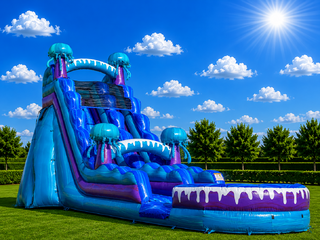 20' Jellyfish water slide with pool