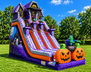 24' Haunted Mansion Dual Lane Dry Slide
