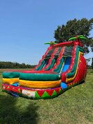 18' Dual Lane Slide