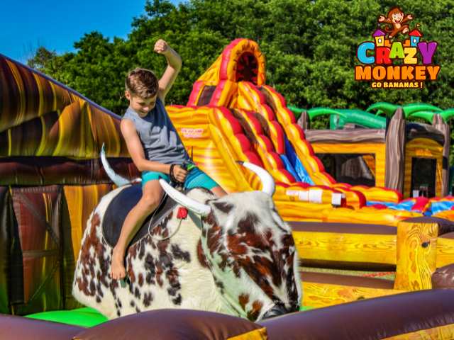 Mechanical Bull Ride Rental | Erie County, PA | Crazy Monkey Inc