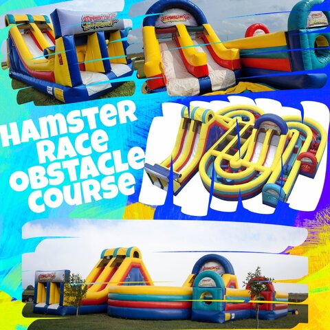 Hamster Race Obstacle Course