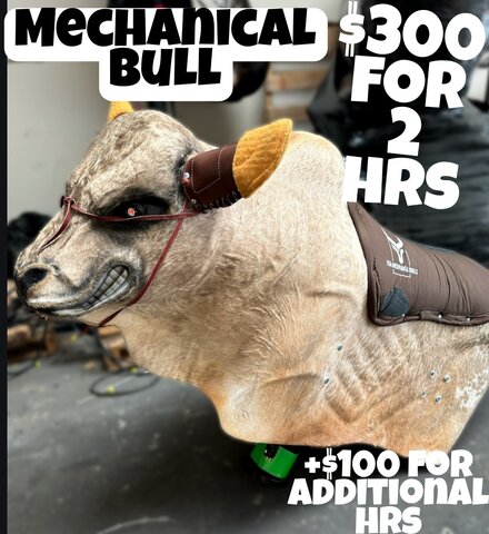 Nacho the Mechanical Bull Ride