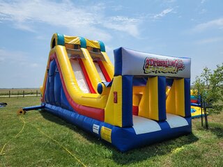 Hamster Race #3 Obstacle Course