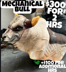 Nacho the Mechanical Bull Ride