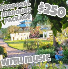 MARRY ME Proposal Package 