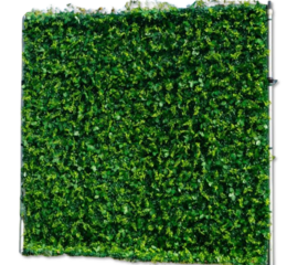 8ft x 8ft Greenery Wall