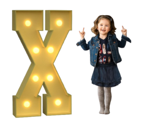 3' Tall Wooden Marquee Letters