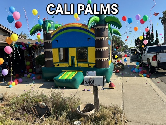 CALI PALMS