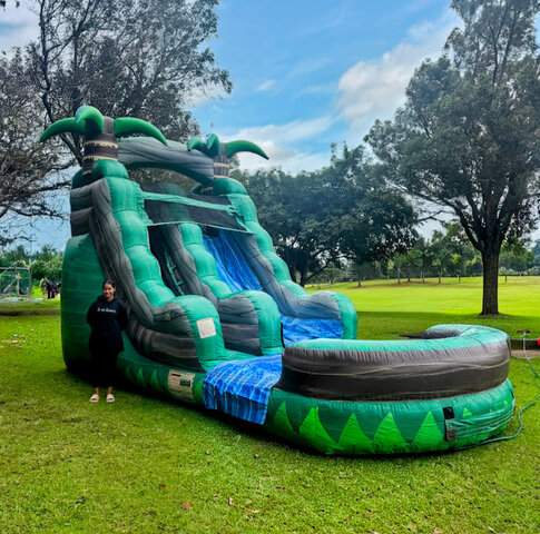 15' Tropic Rainforest