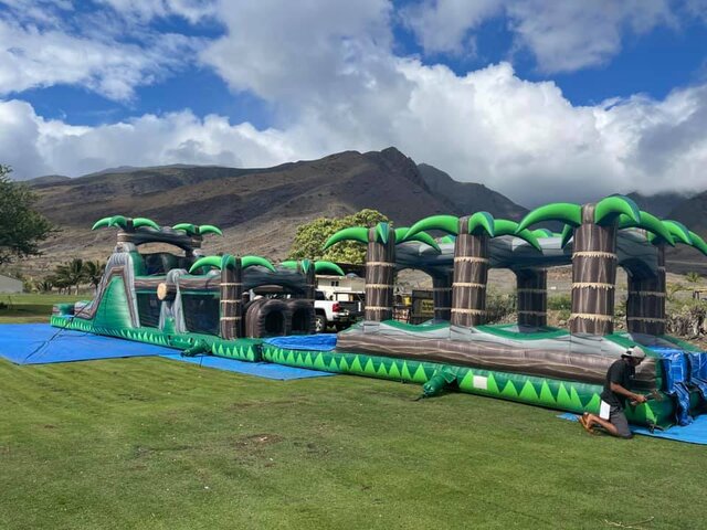 Tropic Jungle (slip 'n dip/obstacle + slide)