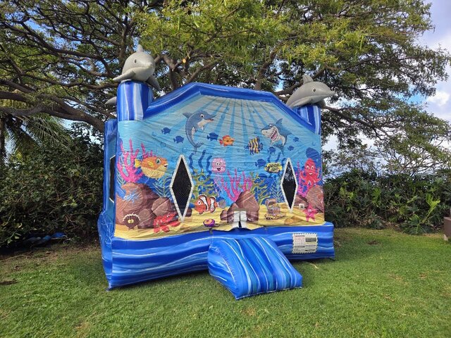 Under the Sea Bouncer