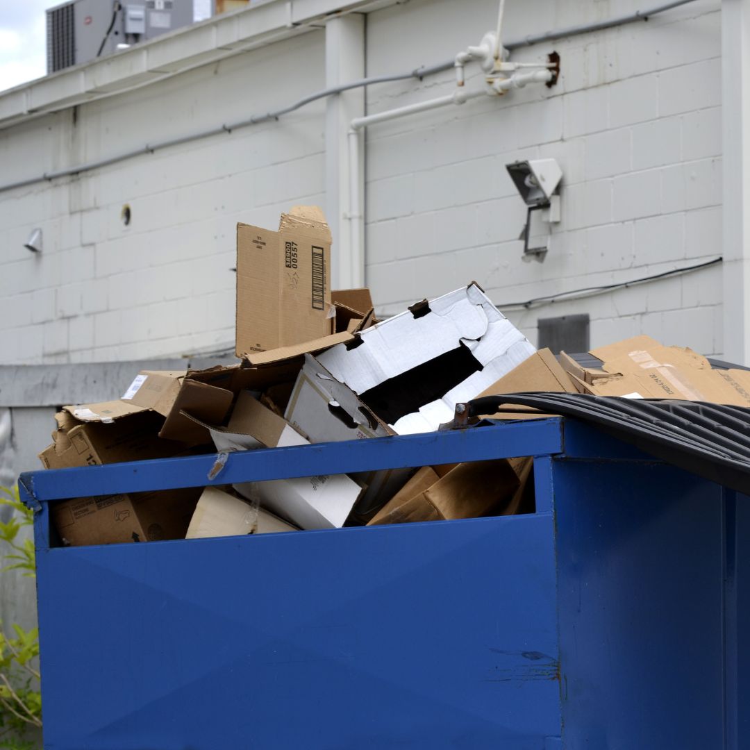 dumpster behind building, full of cardboard