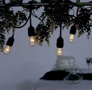 Indoor/ Outdoor Bistro String Lights