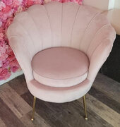 Single Velvet Pink Chair