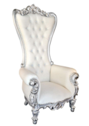Throne Chair- White and Silver