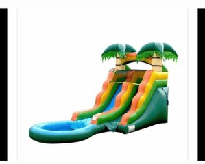 DOUBLE PALM TREE WATER SLIDE