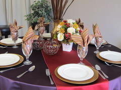 Table Linens, Plastic Fitted Table Covers and Chair Covers