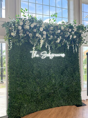 Picture Perfect Backdrops $200+ LL