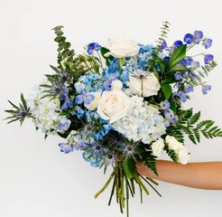 Hydrangea Hues Flower Assortment 