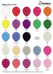 Balloon Color Charts $5