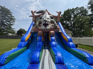 Alligator Swamp Double Lane Slide
