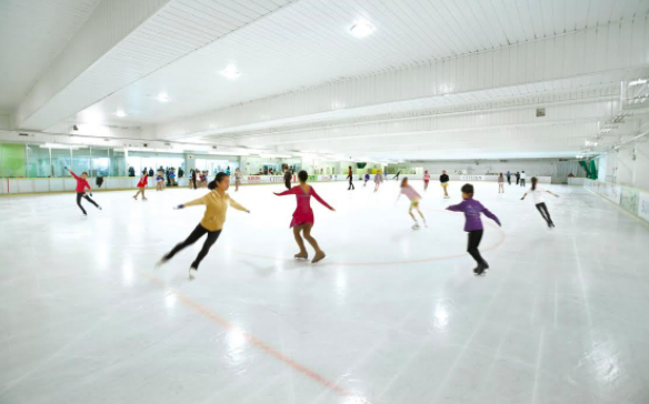 Ice Skating Session