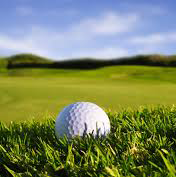 Golf Courses | Golf ball sitting in the rough on a golf course