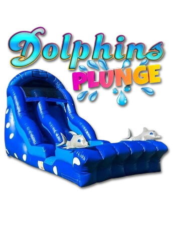 Dolphin Plunge