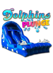 Dolphin Plunge