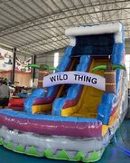 #116  18ft Wild Thing Water slide