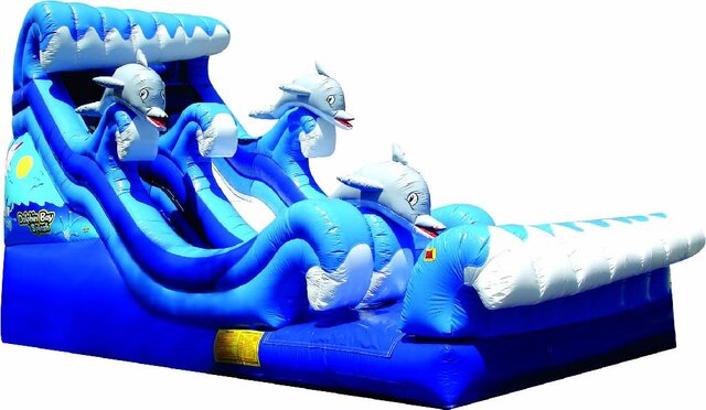 Dolphin Bay 