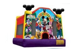Mickey Park Deluxe