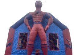 Spiderman 2 In 1 