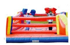 Box N Bounce 