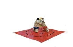 Sumo Wrestling 