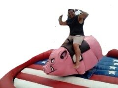 Mechanical Hog/Pig