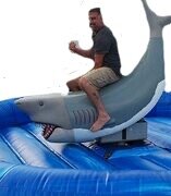 Mechanical Shark