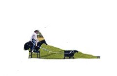 Rodeo Roper 