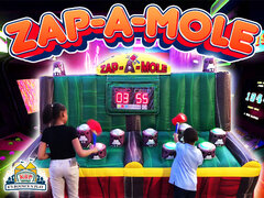 Zap-A-Mole