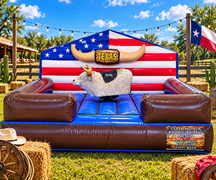 Mechanical Bulls