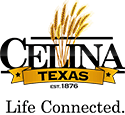 Celina Texas Party Rentals