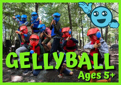 Gelly Ball Party Rentals