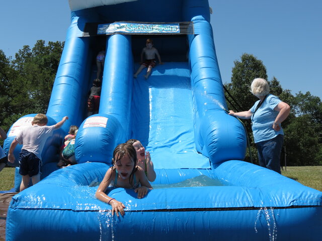 Dolphin Water Slide 