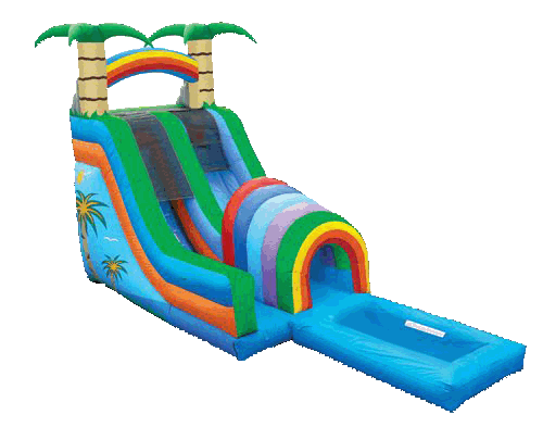 Palm Tree Water Slide 