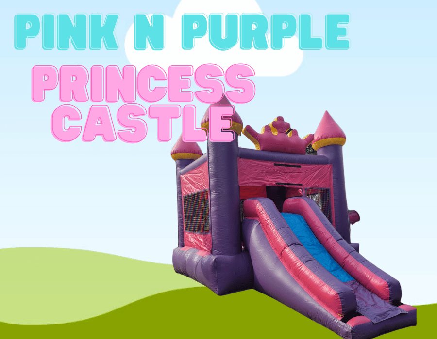 Princess Castle Combo | Bull Valley, IL | Dino Jump