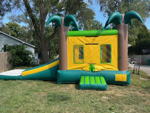 Palm Tree Water Slide 