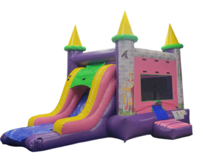 4 in 1 Princess Castle Dry