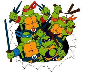 Ninja Turtle Party