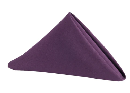 Polyester Napkin Raisin